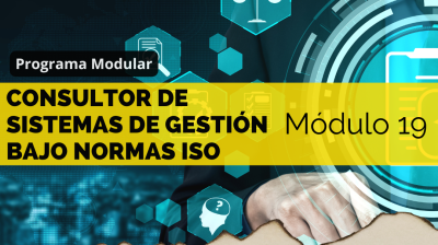 M19 - Consultor de Sistemas de Gestión